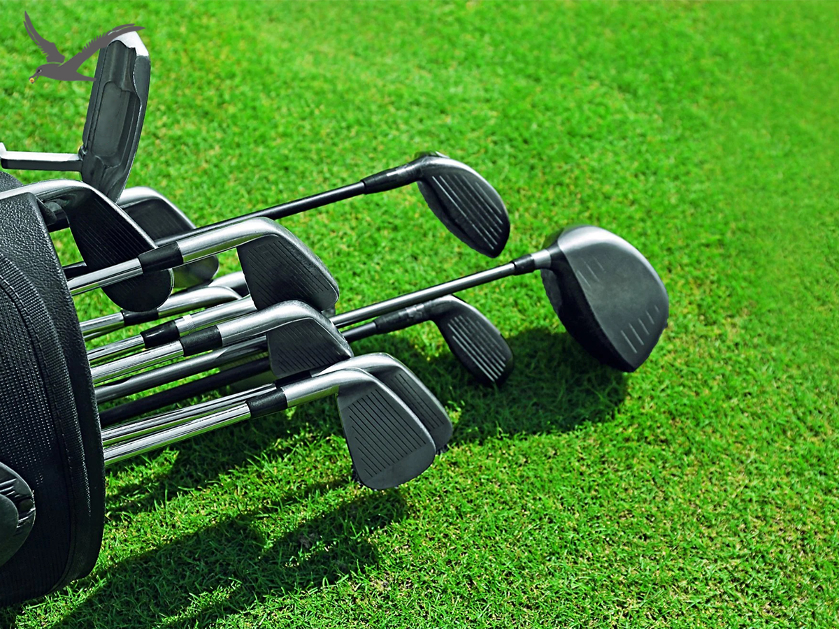ກ່ຽວກັບ Golf Club Degree